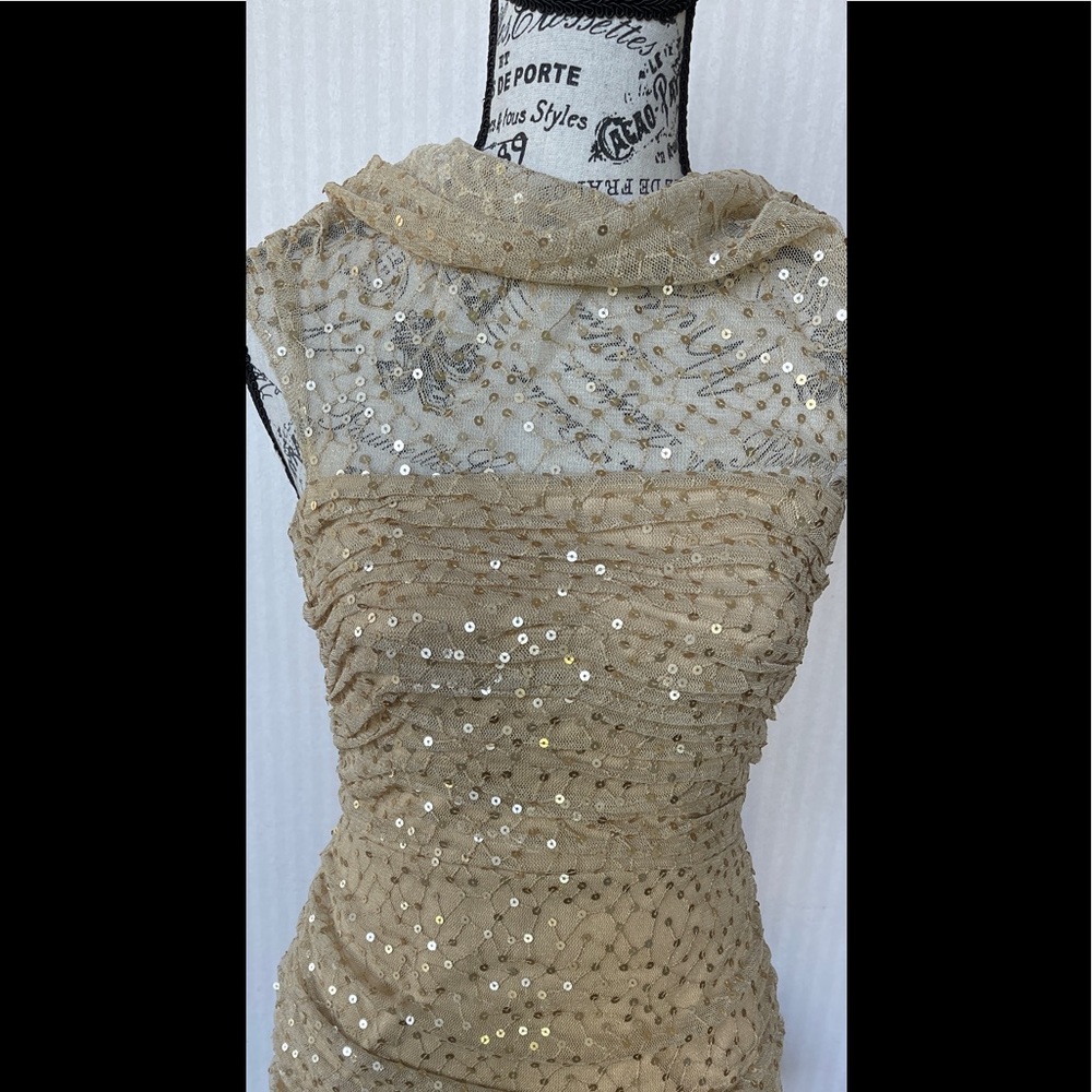 tadashi shoji dress petite small